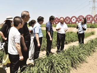 新技术为黄花产业发展带来的新变化